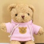 Roze Knuffelbeer Met Zachte Trui Voor Kinderen En Avonturen De Knuffel