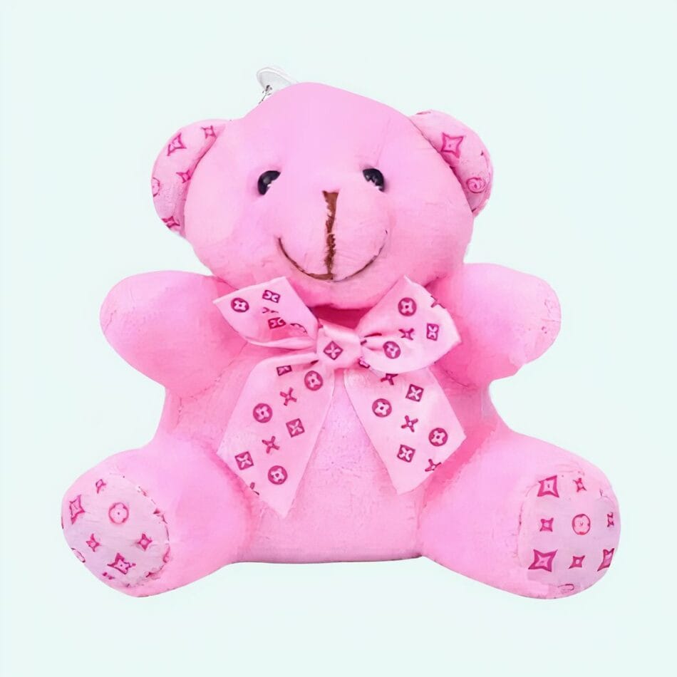 Roze Knuffelbeer Sleutelhanger Zacht en Opgevuld De Knuffel