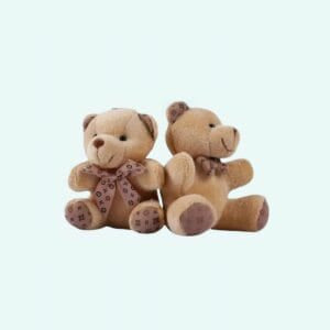 Roze Knuffelbeer Sleutelhanger Zacht en Opgevuld De Knuffel