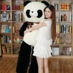 Schattige Reuzen Panda Knuffel Met Fluweelachtige Vacht De Knuffel