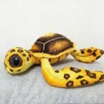 Schildpad Knuffel Kussen met Grote Ogen van Katoen De Knuffel
