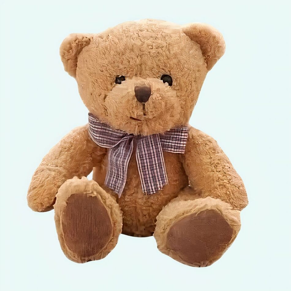 Superzachte Teddybeer van Polaire Stof Knuffelvriend Reizen De Knuffel