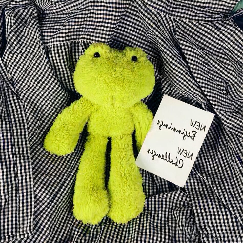 Ultrasofte Knuffel Kikker Met Speels Ontwerp En Felle Kleuren De Knuffel