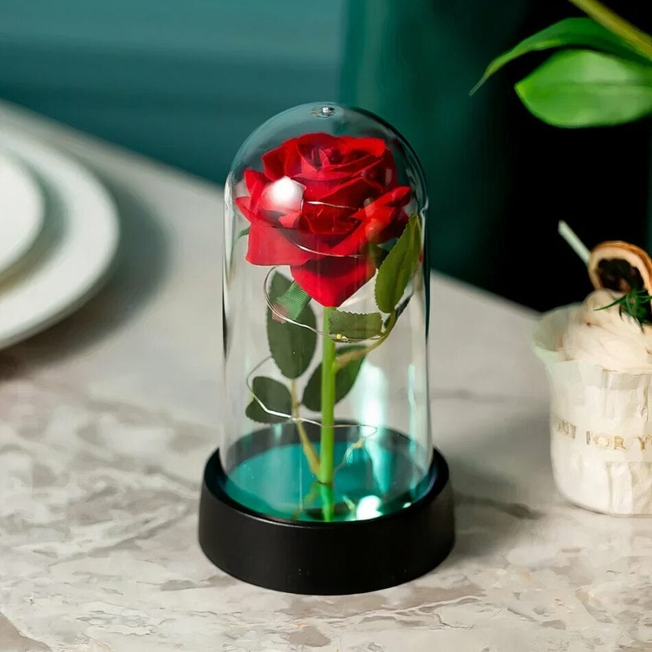 Valentijns Beertje met Rozen en Eeuwige Roos De Knuffel