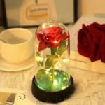 Valentijns Beertje met Rozen en Eeuwige Roos De Knuffel