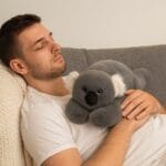 Verzwaarde Koala Knuffel Voor Ontspanning En Rust De Knuffel