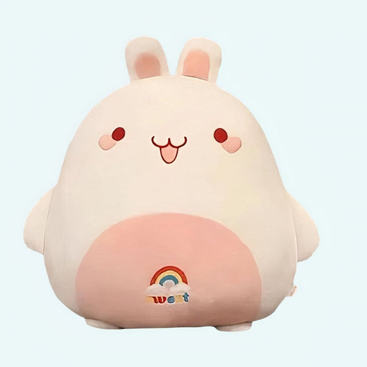 Zacht Regenboog Knuffelkonijn Met Grote Oren De Knuffel