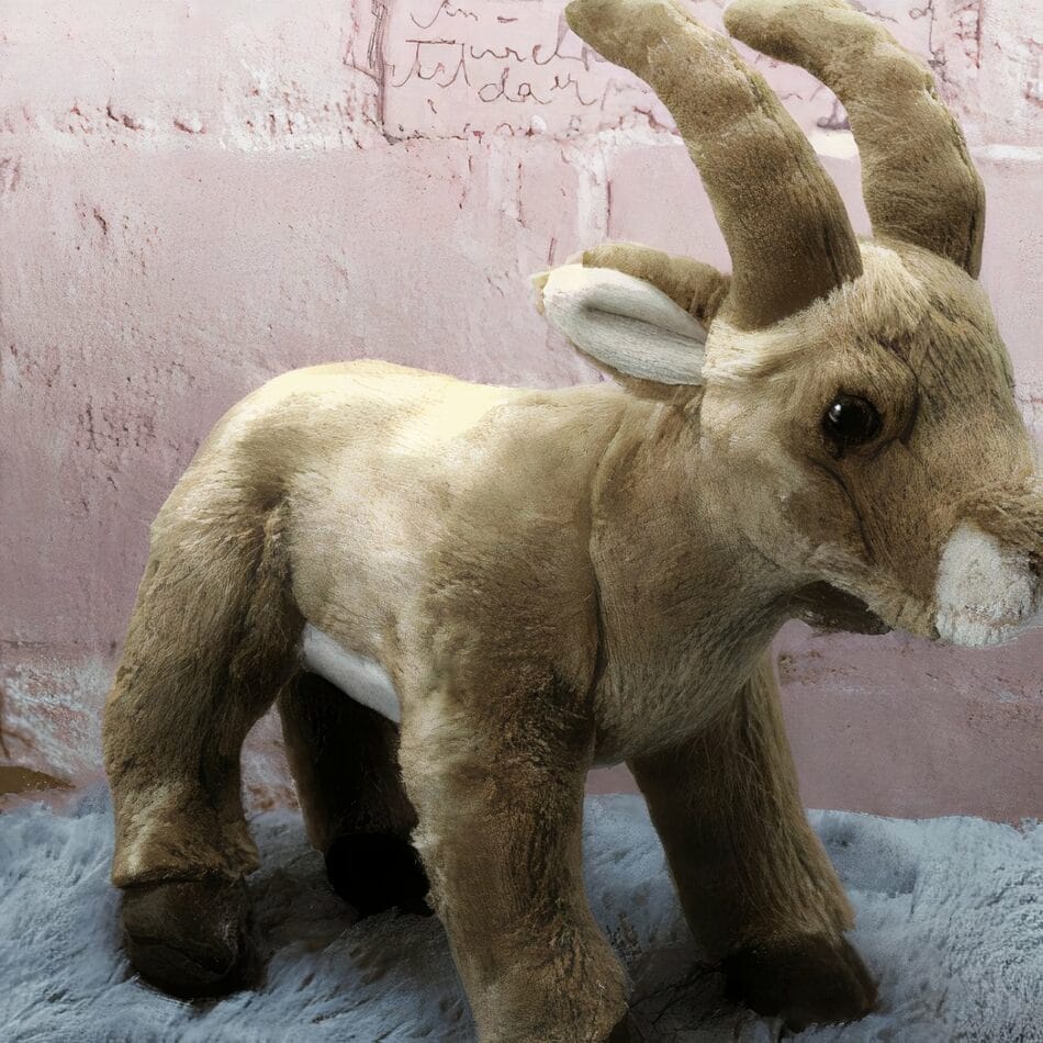 Zachte Knuffel Berggeit Voor Kinderen Troost en Verbeelding De Knuffel