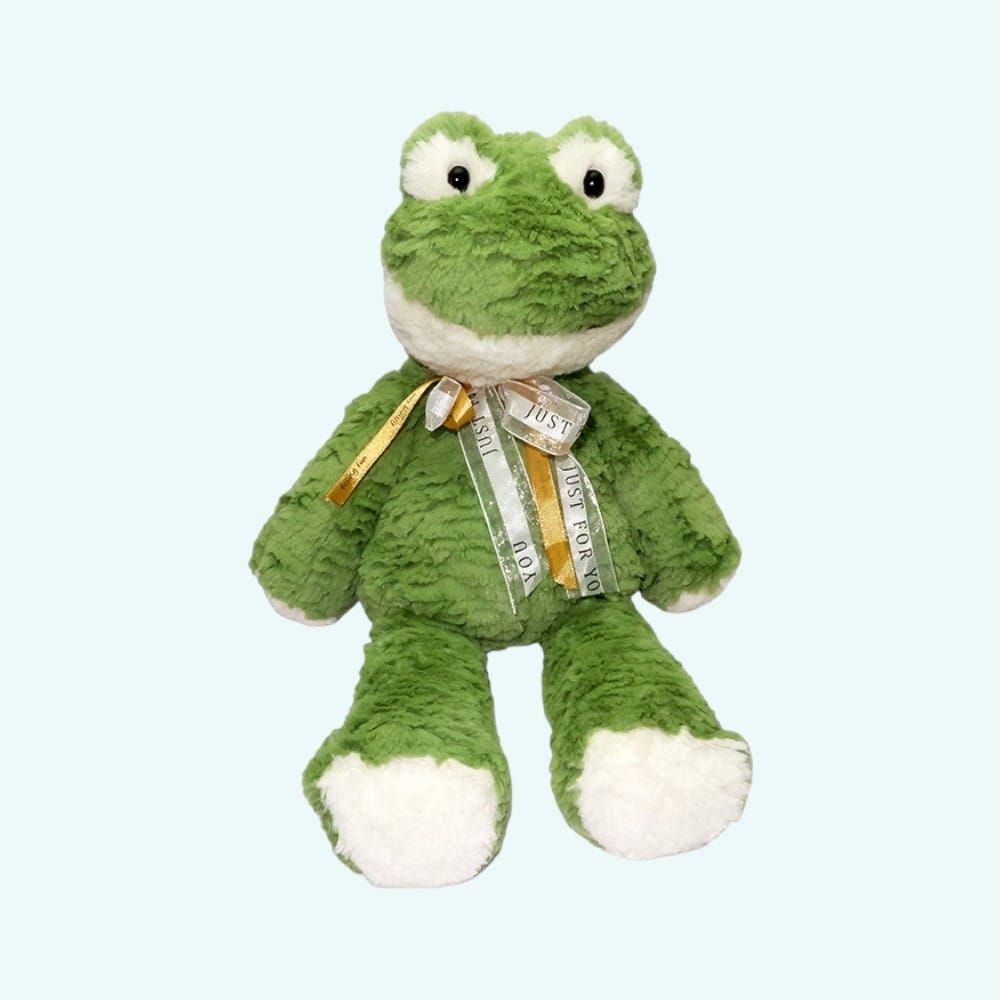 Zachte Knuffel Bouillotte Kikker Met Verwarmende Zaden De Knuffel