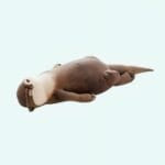 Zachte Otter Knuffel Pennenzak Multifunctioneel Etui Voor Potloden De Knuffel