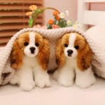 Zachte Realistische Cavalier King Charles Knuffel Hond De Knuffel