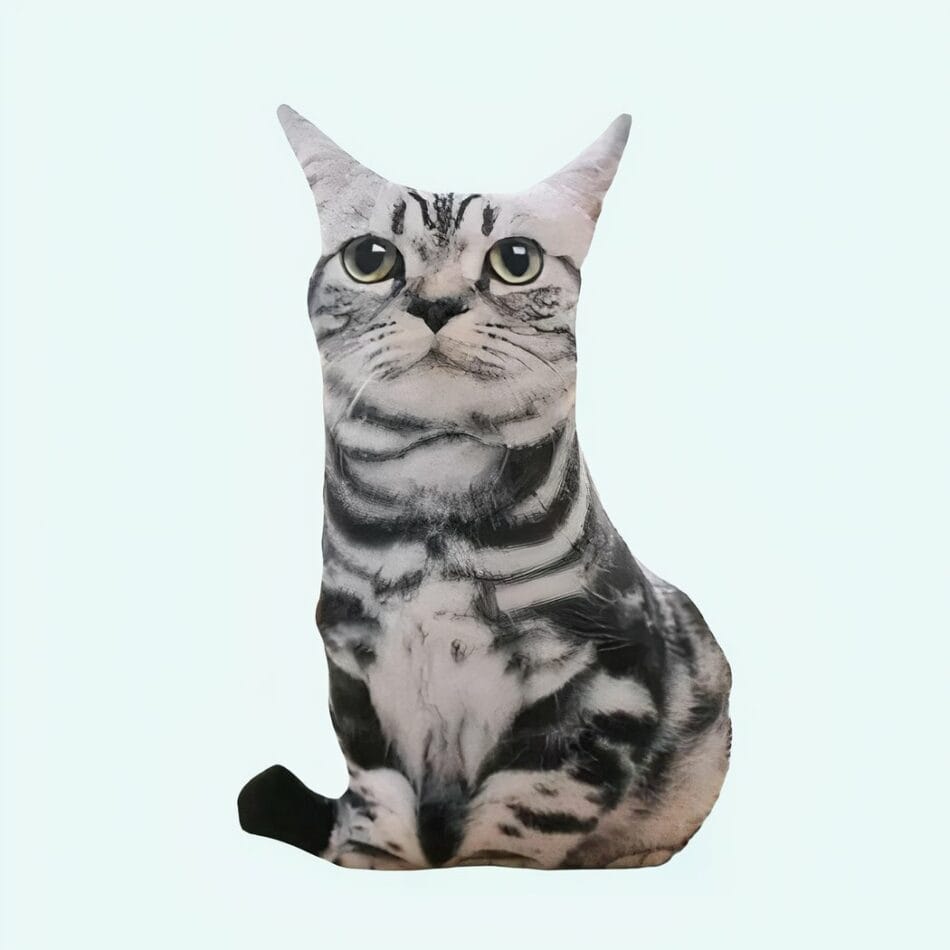 Zwarte Gestreepte Knuffelkat Superschattig Met Zachte Vacht De Knuffel