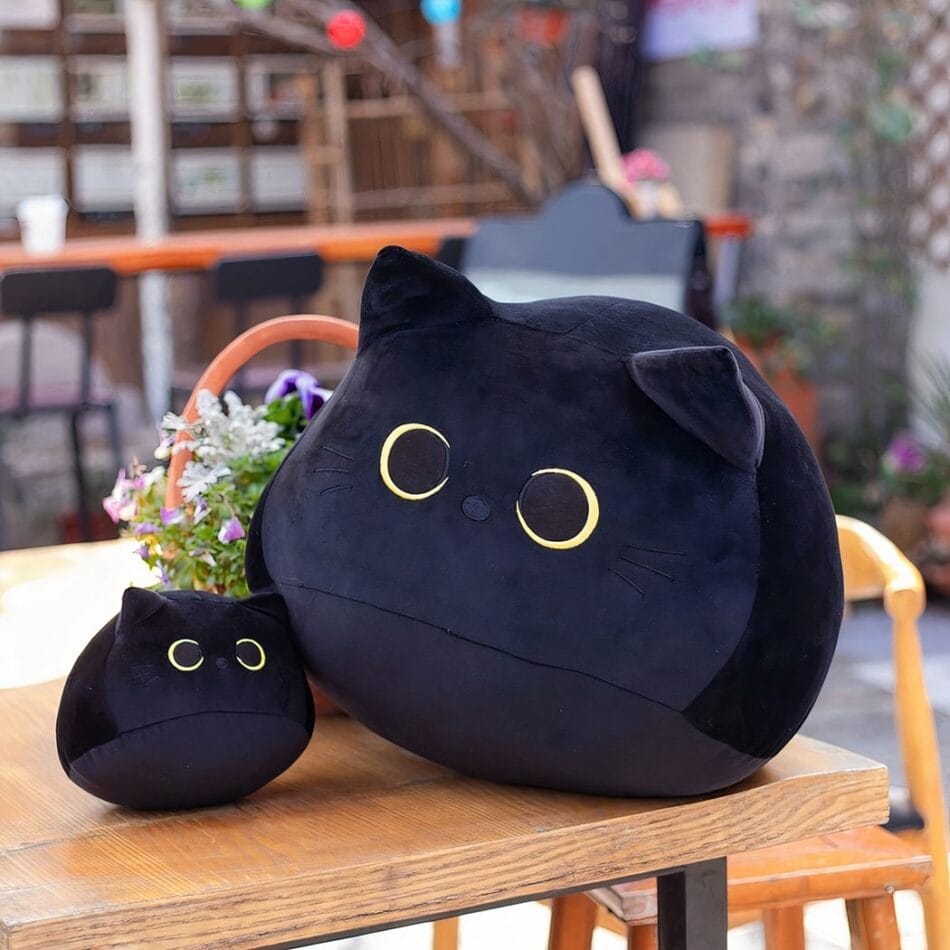 Zwarte Knuffelkat Met Grotes Ogen Beschikbaar In 10 30 En 40 Cm De Knuffel