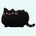 Zwarte Knuffelkat Superschattig Zachte Pluche Voor Kinderen De Knuffel