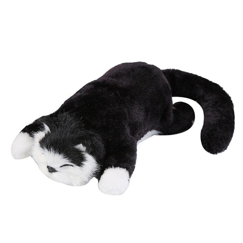 Zwarte Slapende Knuffelkat Met Gesloten Ogen En Sierlijke Snorharen De Knuffel